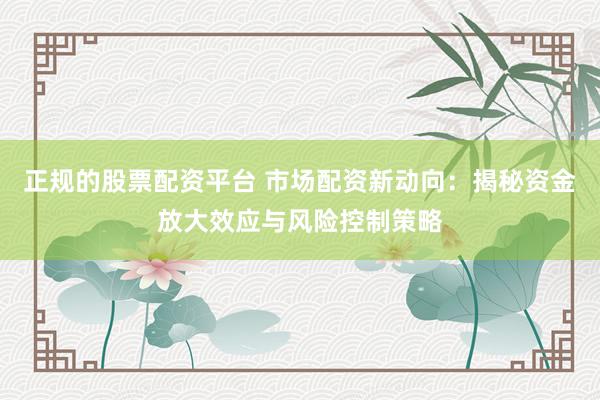 正规的股票配资平台 市场配资新动向：揭秘资金放大效应与风险控制策略