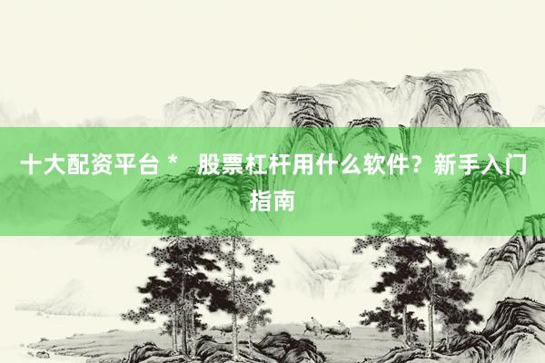 十大配资平台 *   股票杠杆用什么软件？新手入门指南