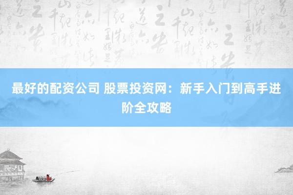 最好的配资公司 股票投资网：新手入门到高手进阶全攻略