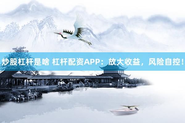 炒股杠杆是啥 杠杆配资APP：放大收益，风险自控！
