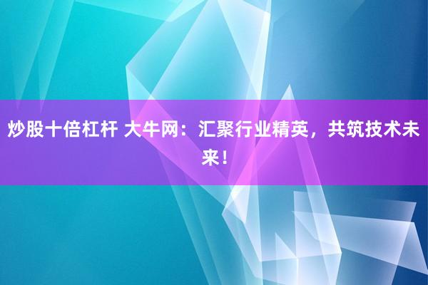 炒股十倍杠杆 大牛网：汇聚行业精英，共筑技术未来！