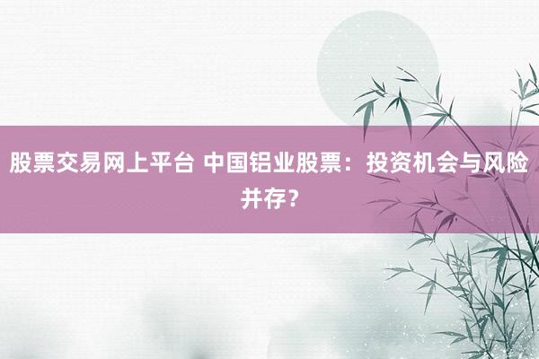 股票交易网上平台 中国铝业股票：投资机会与风险并存？
