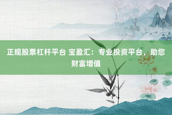 正规股票杠杆平台 宝盈汇：专业投资平台，助您财富增值