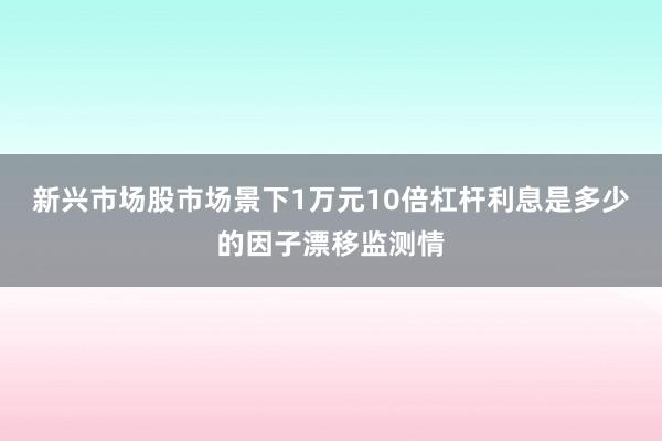 新兴市场股市场景下1万元10倍杠杆利息是多少的因子漂移监测情