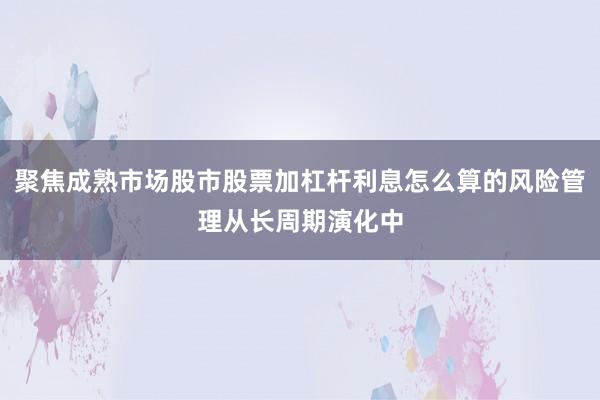 聚焦成熟市场股市股票加杠杆利息怎么算的风险管理从长周期演化中