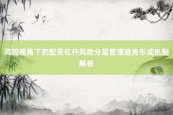 风控视角下的配资杠杆风险分层管理趋势形成机制解析
