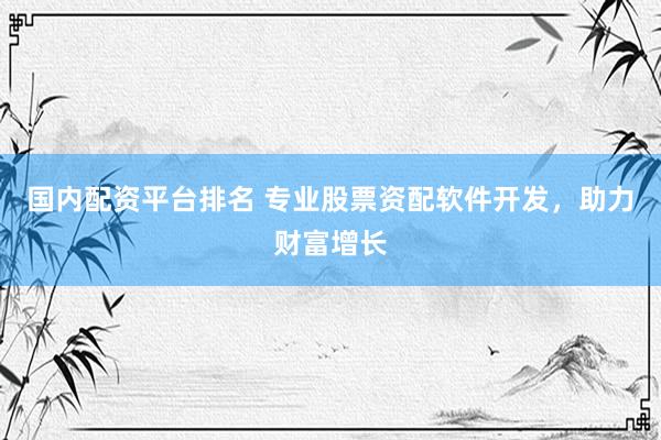 国内配资平台排名 专业股票资配软件开发，助力财富增长