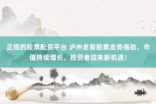正规的股票配资平台 泸州老窖股票走势强劲，市值持续增长，投资者迎来新机遇！